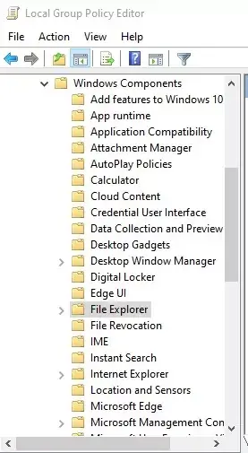Desable Web Serarch Result Via Group Policy 2