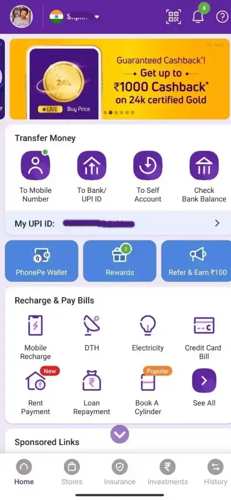 Phone Pay Interface